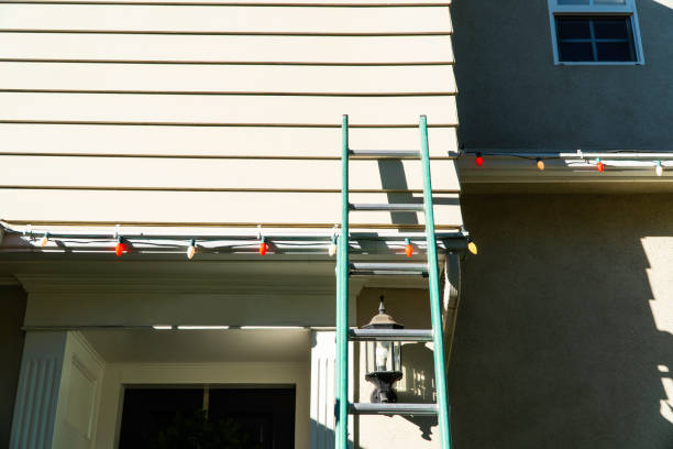 Best Aluminum Siding Installation  in Skyline, AL