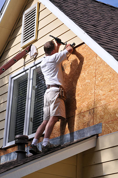 Best Siding Painting and Refinishing  in Skyline, AL